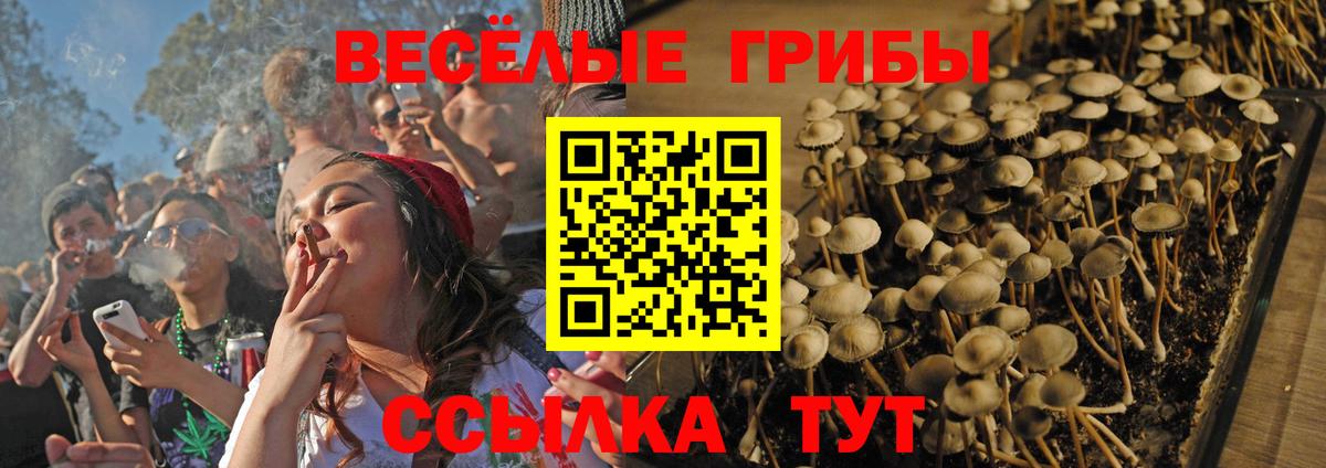 Нововоронеж  Псилоцибиновые грибы MAGIC MUSHROOMS  Вход с VPN 